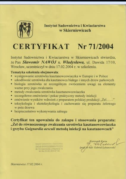 Certyfikat dla firmy